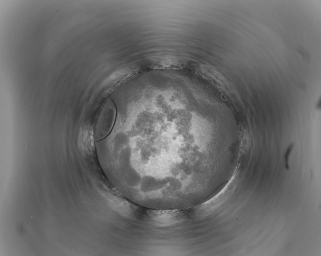 X0000112100191200908181334