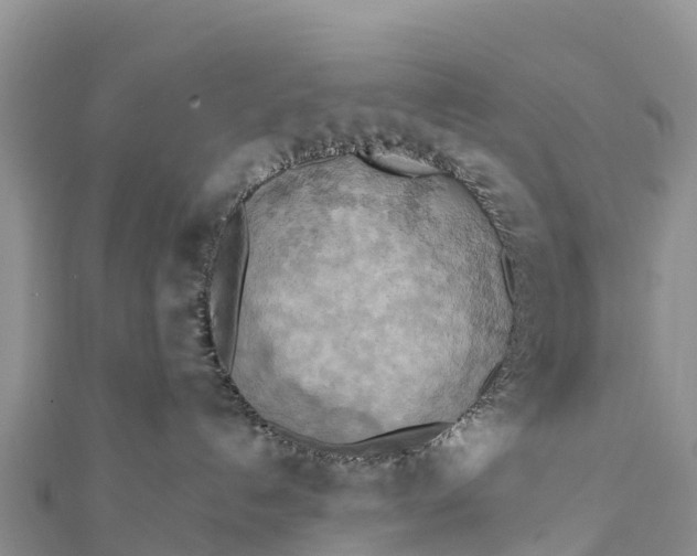 X0000112100192200908181334