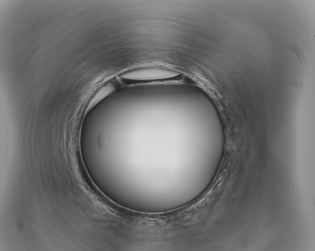 X0000112100193200908181333