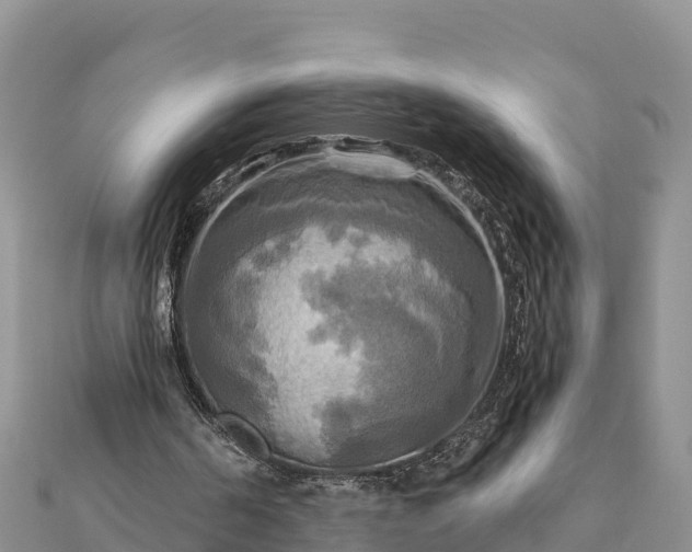 X0000112100194200908181333