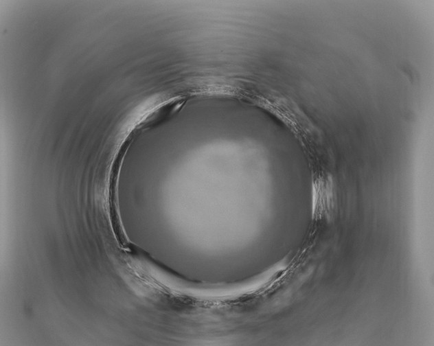 X0000112100195200908181333