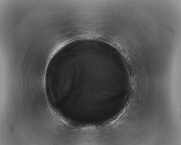 X0000112100196200908181333