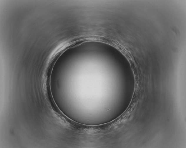 X0000112100197200908181333