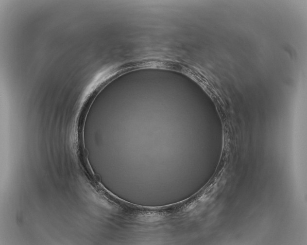 X0000112100198200908181333