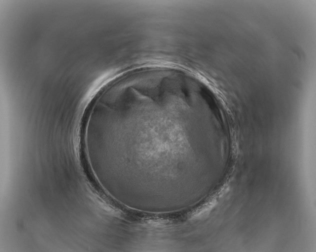 X0000112100199200908181333