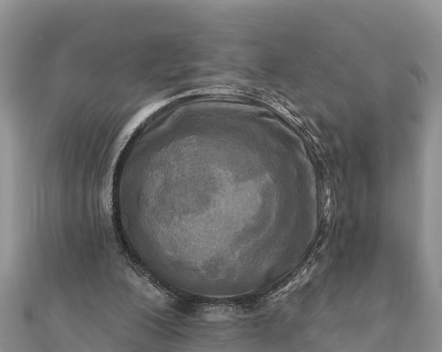 X0000112100200200908181333