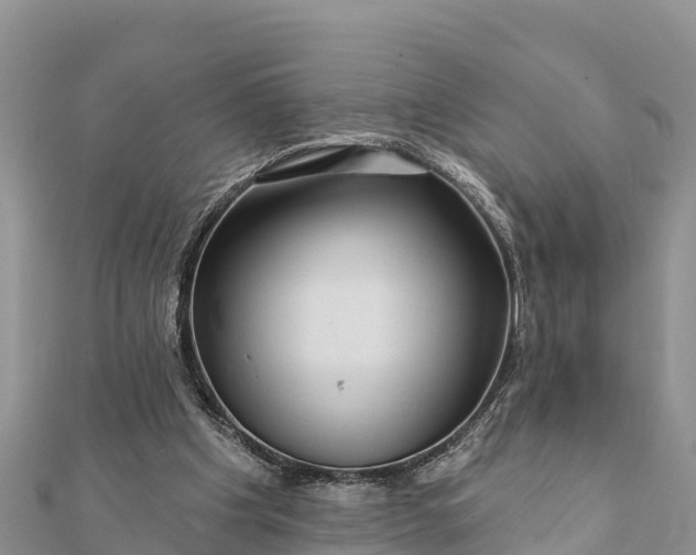 X0000112100201200908181333