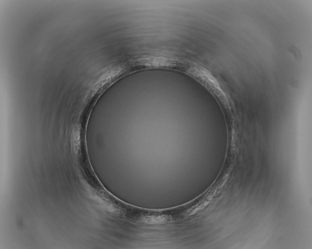 X0000112100202200908181333