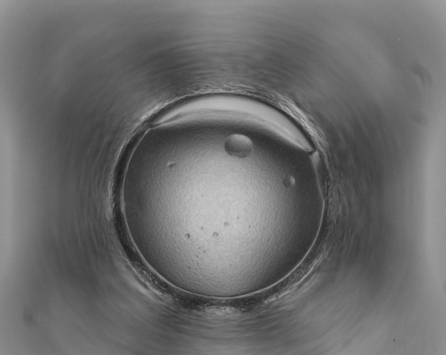 X0000112100203200908181333