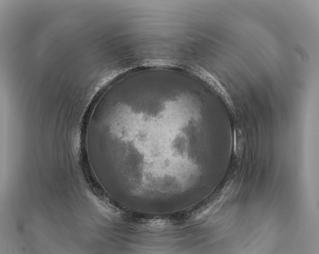 X0000112100204200908181333