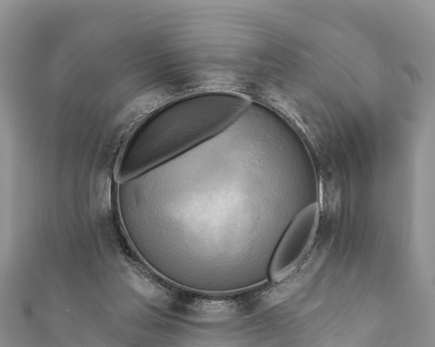 X0000112100205200908181333