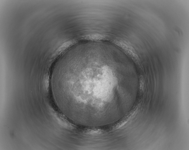 X0000112100206200908181333