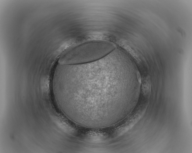 X0000112100207200908181333