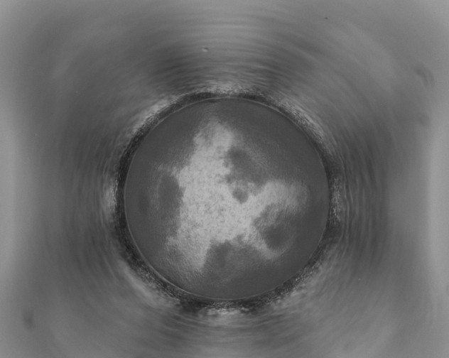 X0000112100208200908181333