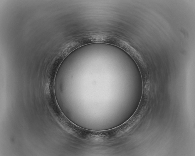 X0000112100209200908181333