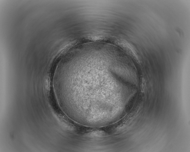 X0000112100210200908181333