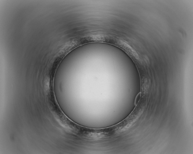 X0000112100213200908181333