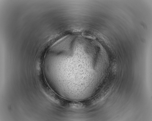 X0000112100215200908181333