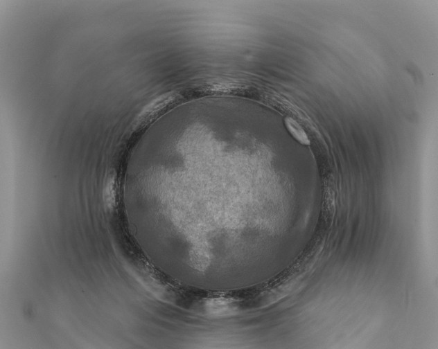 X0000112100216200908181333