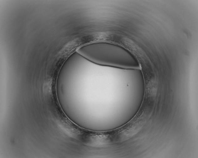 X0000112100217200908181333