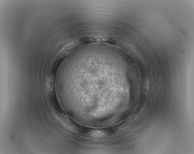 X0000112100218200908181333