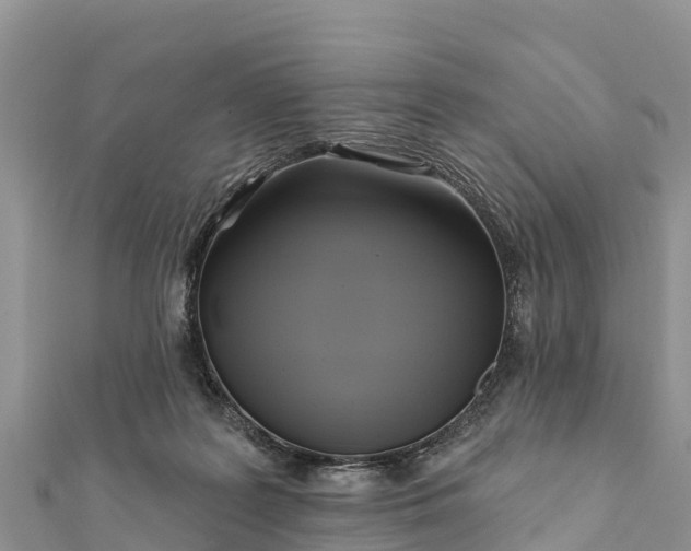 X0000112100219200908181333