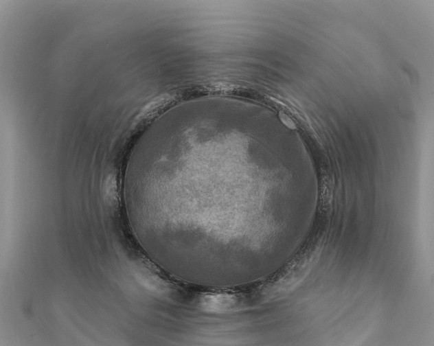 X0000112100220200908181332