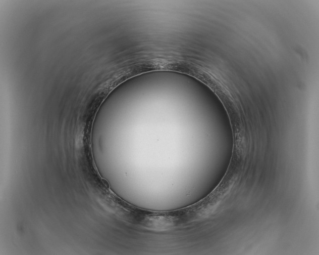 X0000112100221200908181332