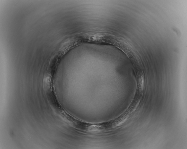 X0000112100222200908181332