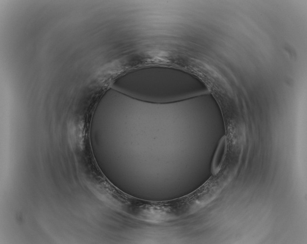 X0000112100223200908181332