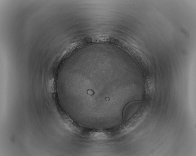 X0000112100224200908181332