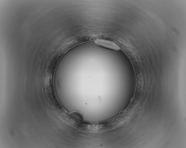 X0000112100225200908181332