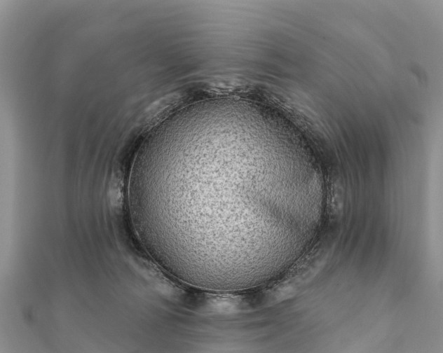 X0000112100226200908181332