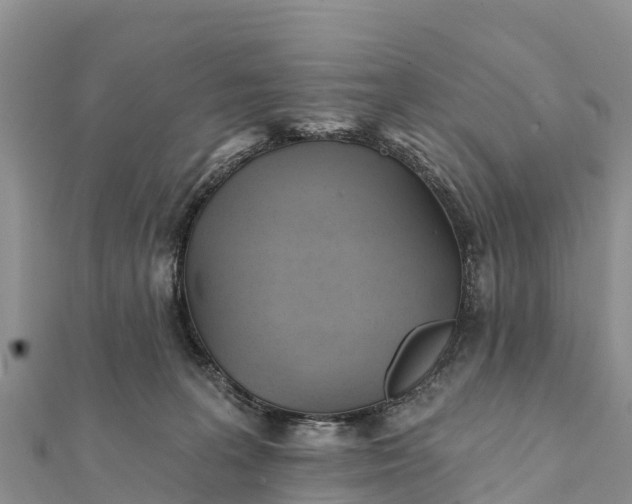 X0000112100227200908181332