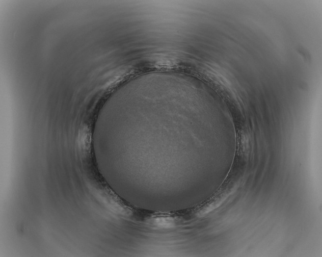 X0000112100228200908181332