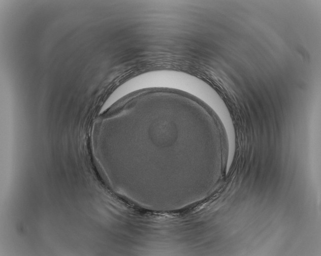 X0000112100229200908181332