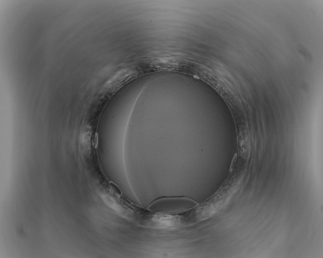 X0000112100231200908181332