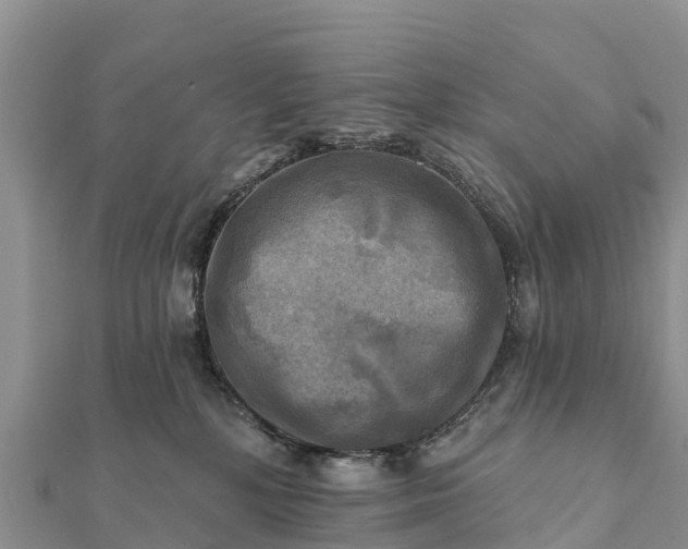 X0000112100232200908181332