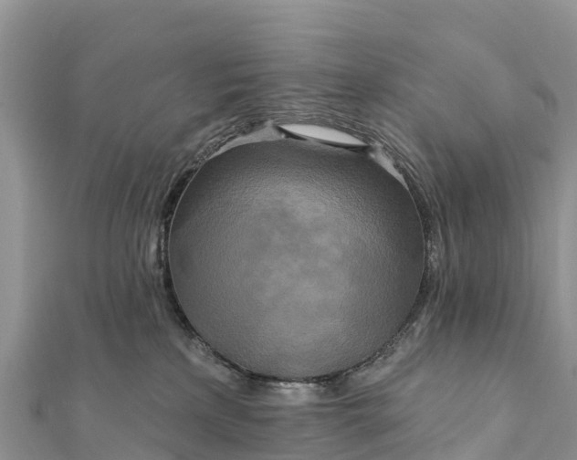 X0000112100233200908181332