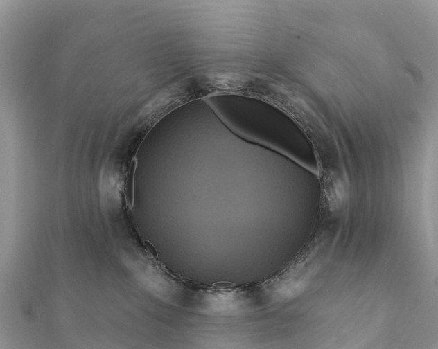 X0000112100235200908181332