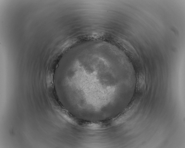 X0000112100236200908181332