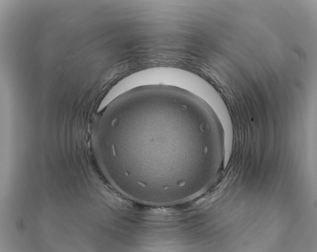 X0000112100237200908181332