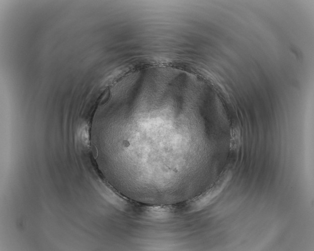 X0000112100238200908181332