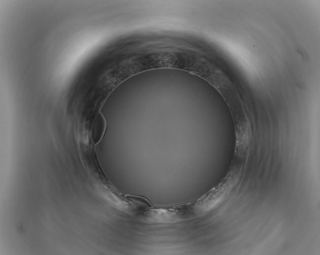 X0000112100239200908181332