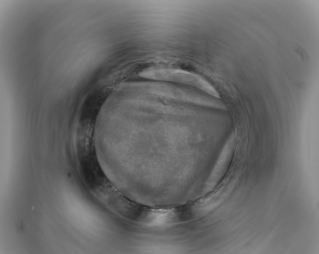 X0000112100240200908181332