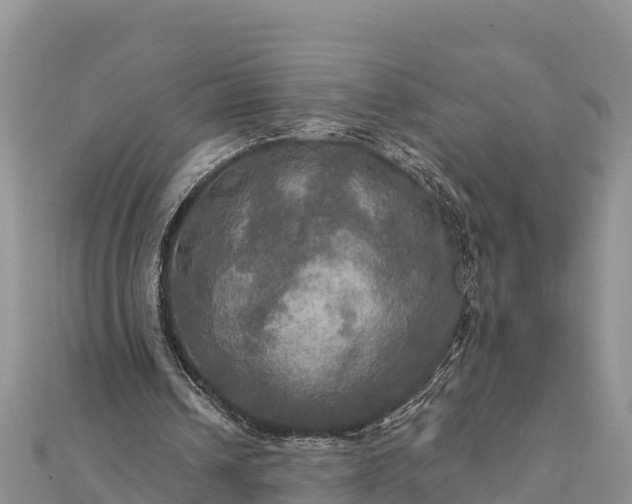 X0000112100242200908181332