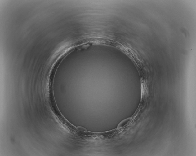 X0000112100243200908181332