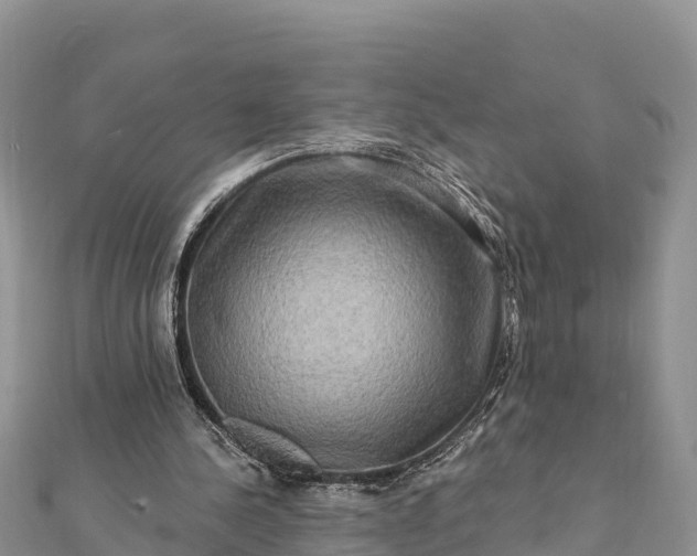 X0000112100244200908181332