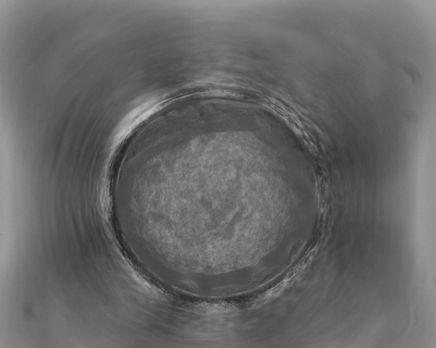 X0000112100245200908181332