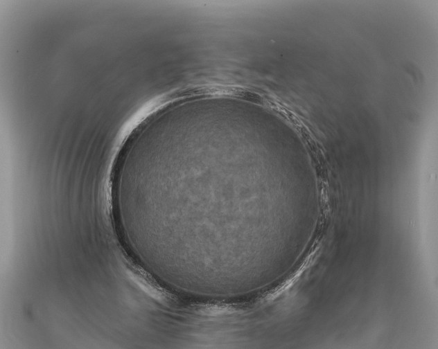 X0000112100246200908181332